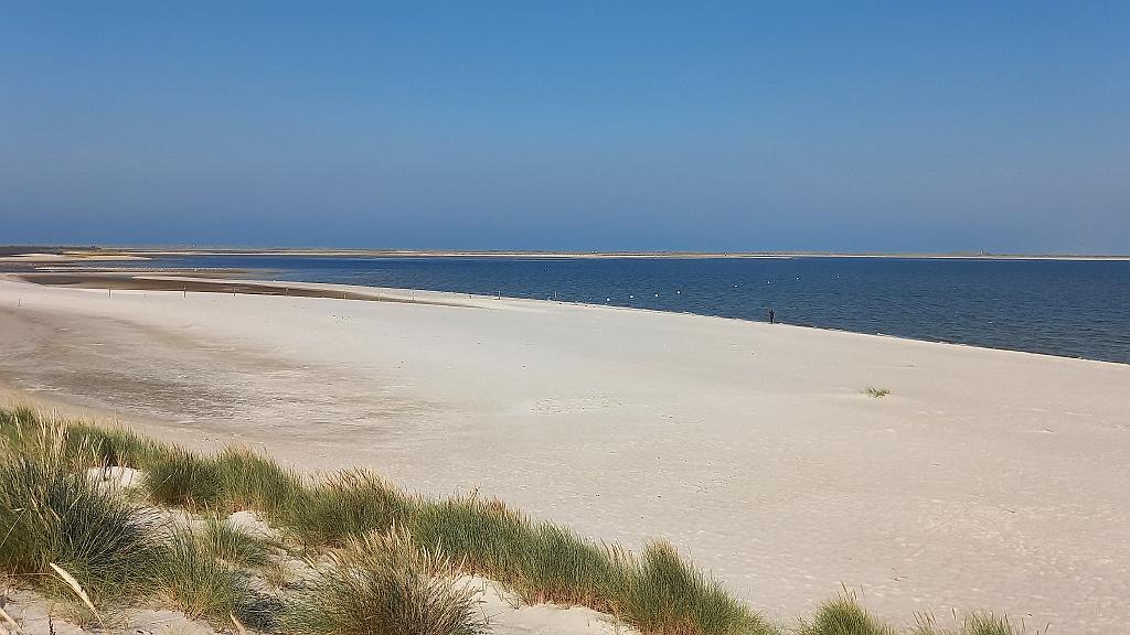 Sylt (86)
